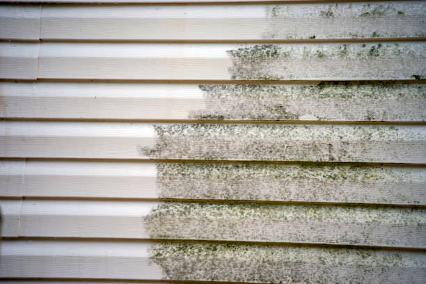 Best Residential Vinyl Siding Installation  in Magnolia Springs, AL